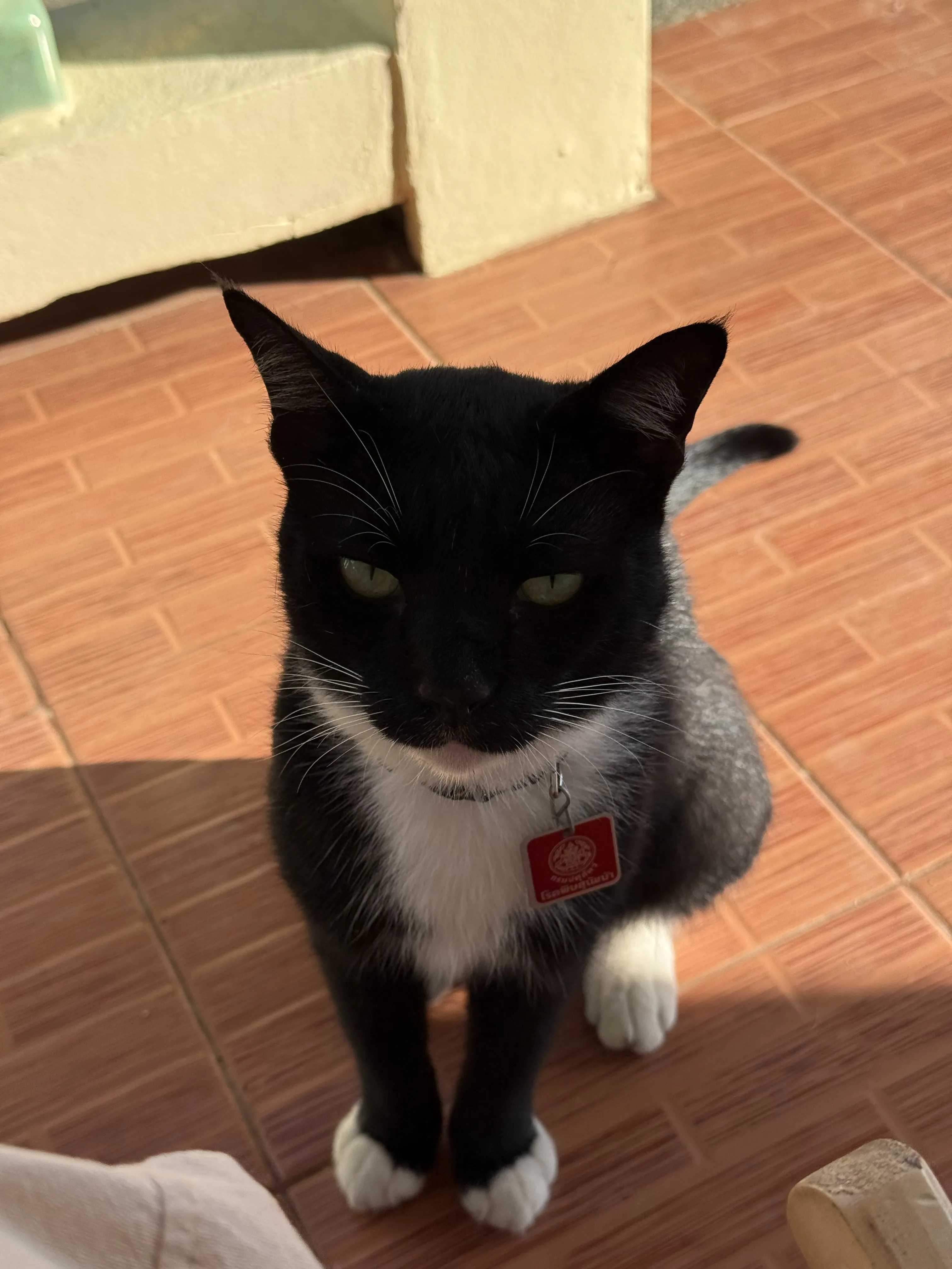 George enjoying the sun